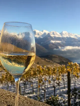 Sparkling glass of Gringet wine on a mountain vineyard terrace with snowy peaks in the background, illuminated by golden natural light.