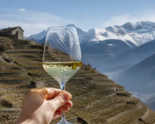 Glass of Pinot Noir on a wooden barrel in an elegant, dimly lit alpine wine cellar with blurred bottle labels and a sommelier's hand holding tasting notes nearby.
